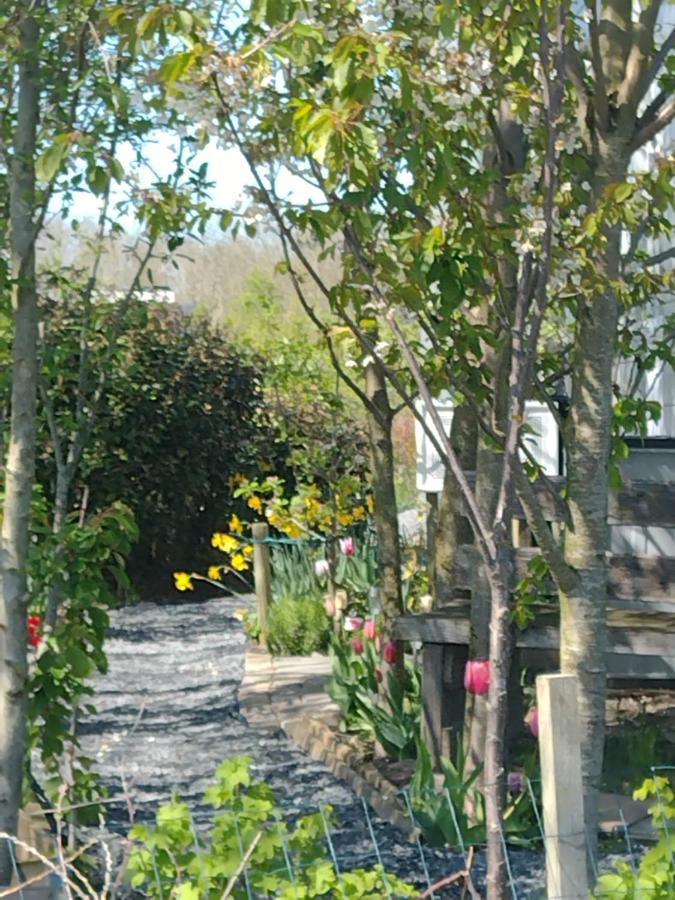 Tuinhuisje In Het Groen アルメール エクステリア 写真