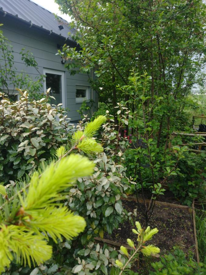 Tuinhuisje In Het Groen アルメール エクステリア 写真