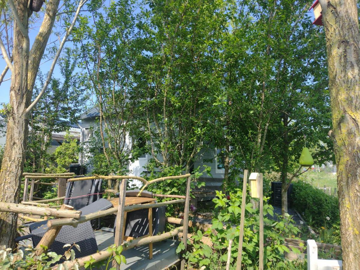 Tuinhuisje In Het Groen アルメール エクステリア 写真