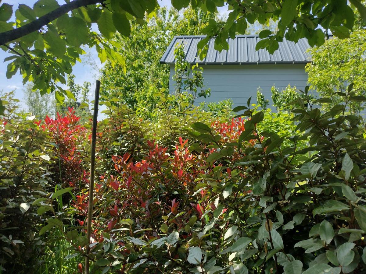 Tuinhuisje In Het Groen アルメール エクステリア 写真