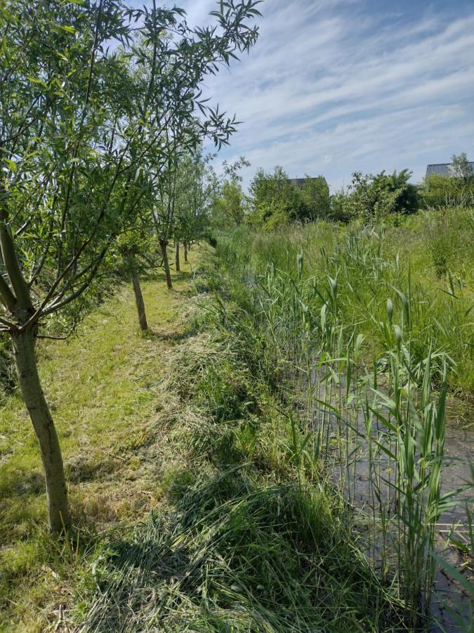 Tuinhuisje In Het Groen アルメール エクステリア 写真